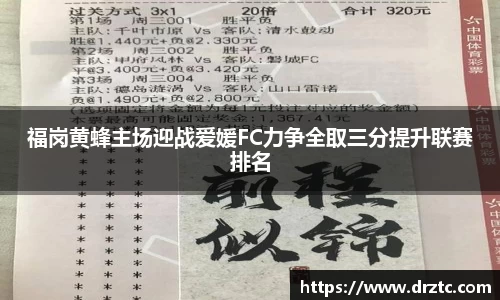 福岗黄蜂主场迎战爱媛FC力争全取三分提升联赛排名